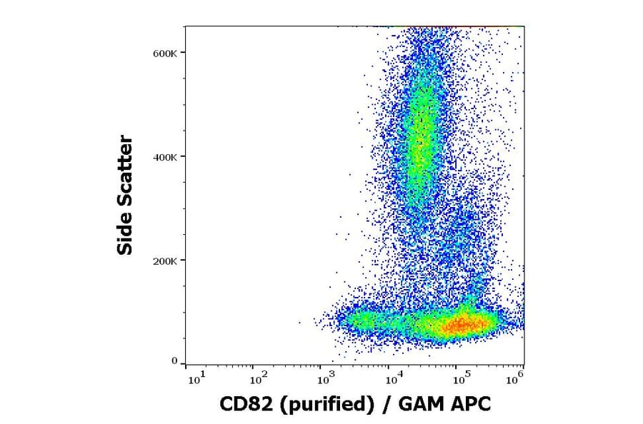 Flow Cytometry - Anti-CD82 Antibody [C33] (A86572)