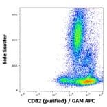Flow Cytometry - Anti-CD82 Antibody [C33] (A86572)