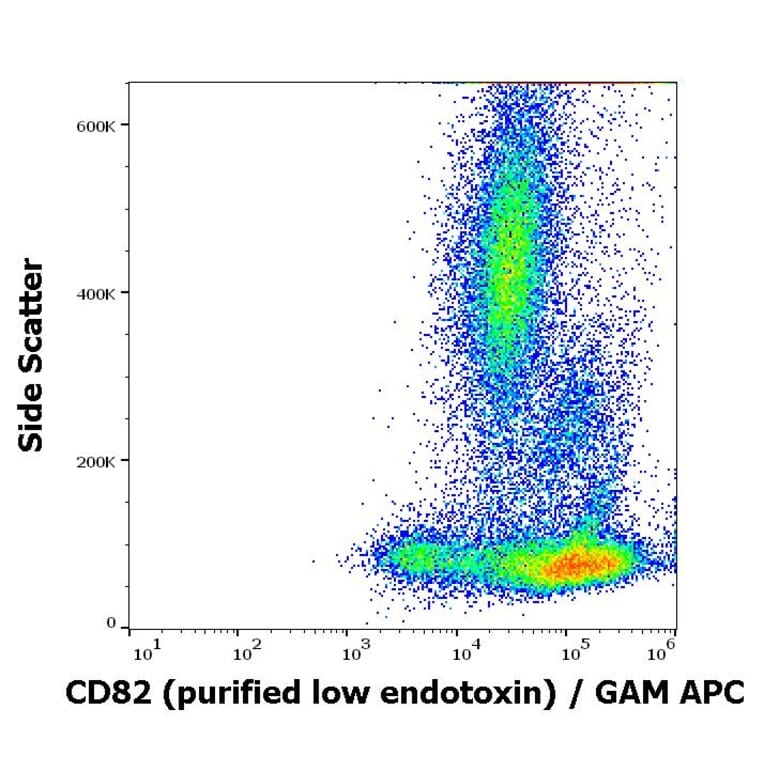 Flow Cytometry - Anti-CD82 Antibody [C33] - Low endotoxin, Azide free (A86574)