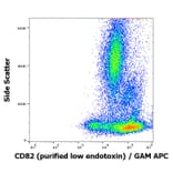 Flow Cytometry - Anti-CD82 Antibody [C33] - Low endotoxin, Azide free (A86574)