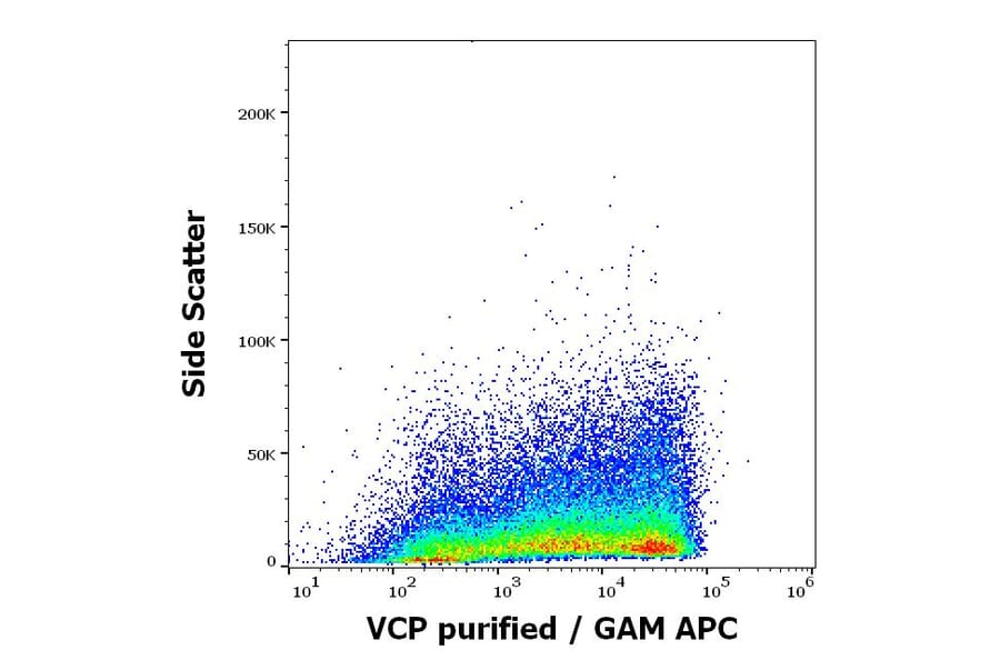 Flow Cytometry - Anti-VCP Antibody [Hs-14] (A86576)