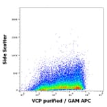 Flow Cytometry - Anti-VCP Antibody [Hs-14] (A86576)