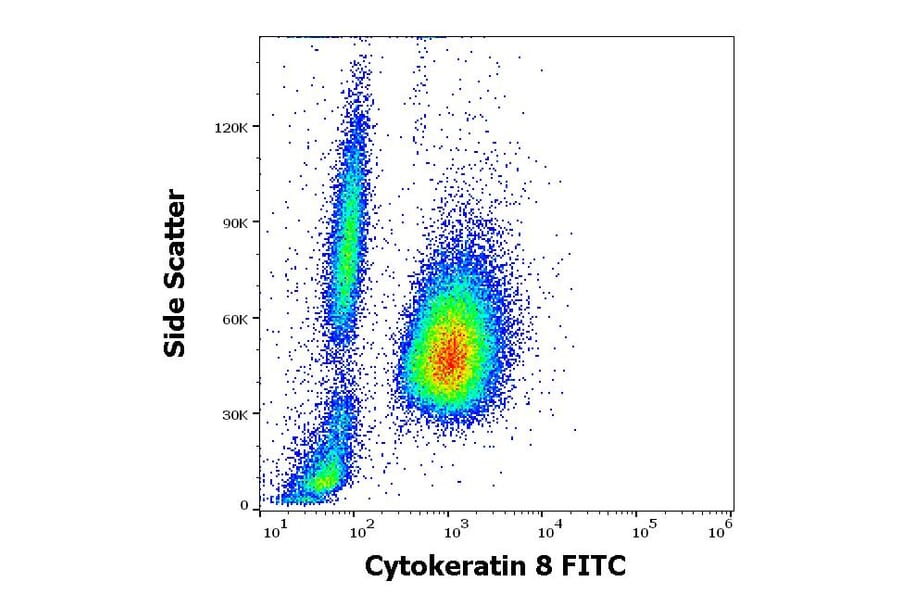 Flow Cytometry - Anti-Cytokeratin 8 Antibody [C-43] (FITC) (A86583)