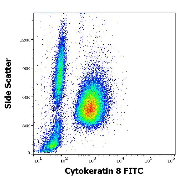 Flow Cytometry - Anti-Cytokeratin 8 Antibody [C-43] (FITC) (A86583)
