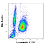 Flow Cytometry - Anti-Cytokeratin 8 Antibody [C-43] (FITC) (A86583)
