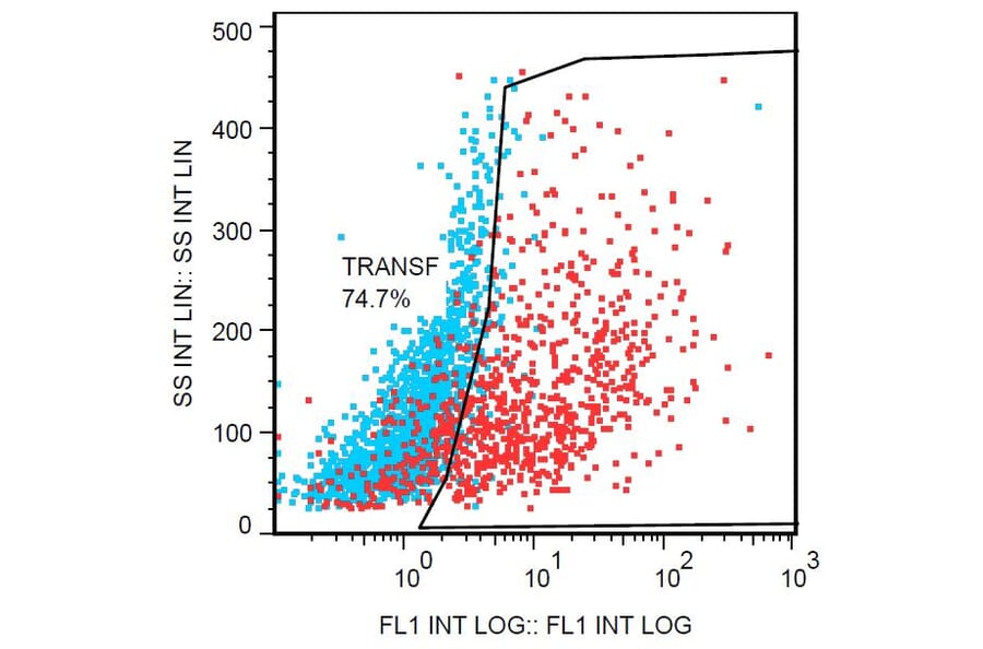 Flow Cytometry - Anti-DDIT4L Antibody [DDIT-03] (PE) (A86585) - Antibodies.com