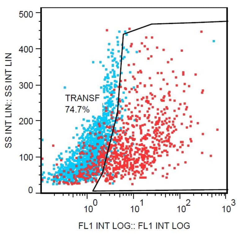 Flow Cytometry - Anti-DDIT4L Antibody [DDIT-03] (PE) (A86585) - Antibodies.com