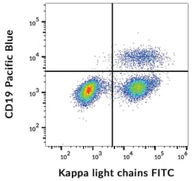Flow Cytometry - Anti-Human Kappa Light Chain Antibody [TB28-2] (FITC) (A86590)