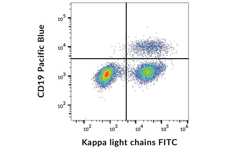 Flow Cytometry - Anti-Human Kappa Light Chain Antibody [TB28-2] (FITC) (A86590)