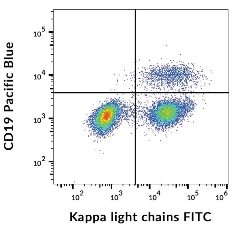 Flow Cytometry - Anti-Human Kappa Light Chain Antibody [TB28-2] (FITC) (A86590)