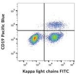 Flow Cytometry - Anti-Human Kappa Light Chain Antibody [TB28-2] (FITC) (A86590)