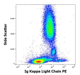 Flow Cytometry - Anti-Human Kappa Light Chain Antibody [TB28-2] (PE) (A86591)