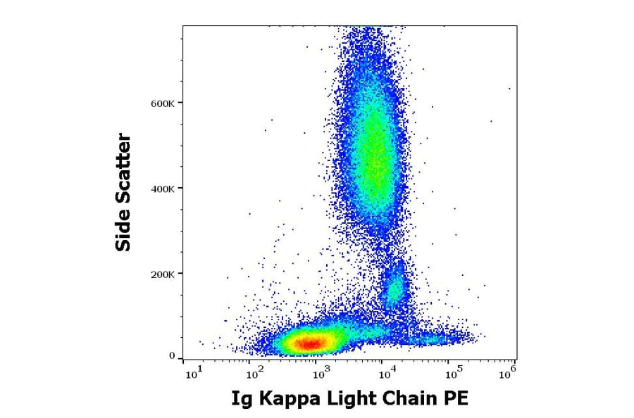 Flow Cytometry - Anti-Human Kappa Light Chain Antibody [TB28-2] (PE) (A86591)