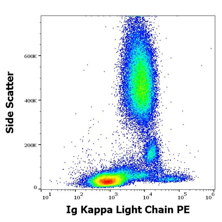 Flow Cytometry - Anti-Human Kappa Light Chain Antibody [TB28-2] (PE) (A86591)