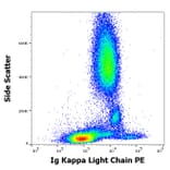 Flow Cytometry - Anti-Human Kappa Light Chain Antibody [TB28-2] (PE) (A86591)