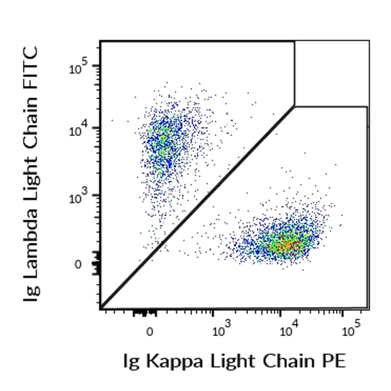 Flow Cytometry - Anti-Human Kappa Light Chain Antibody [TB28-2] (PE) (A86591)