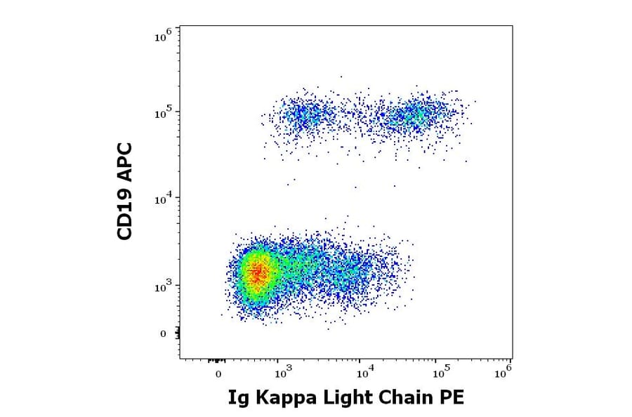 Flow Cytometry - Anti-Human Kappa Light Chain Antibody [TB28-2] (PE) (A86591)