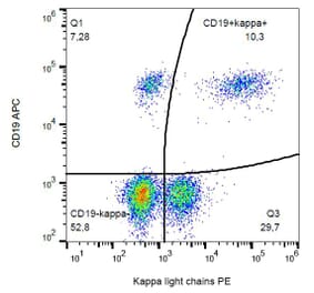 Flow Cytometry - Anti-Human Kappa Light Chain Antibody [TB28-2] (PE) (A86589) - Antibodies.com