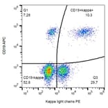Flow Cytometry - Anti-Human Kappa Light Chain Antibody [TB28-2] (PE) (A86589) - Antibodies.com