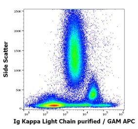 Flow Cytometry - Anti-Human Kappa Light Chain Antibody [TB28-2] (A86593)