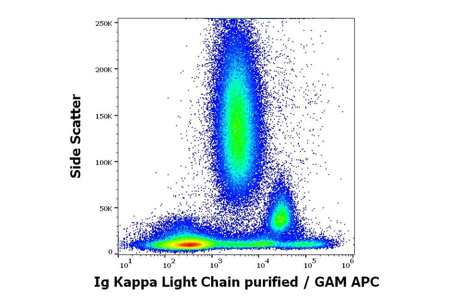 Flow Cytometry - Anti-Human Kappa Light Chain Antibody [TB28-2] (A86593)