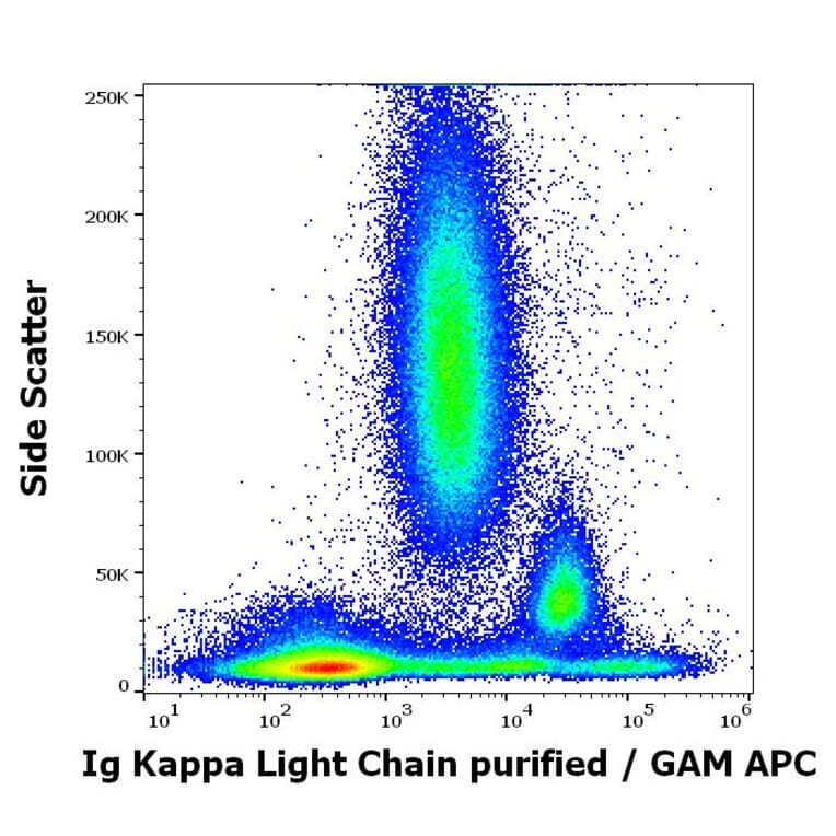 Flow Cytometry - Anti-Human Kappa Light Chain Antibody [TB28-2] (A86593)