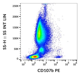 Flow Cytometry - Anti-LAMP2 Antibody [H4B4] (PE) (A86600)