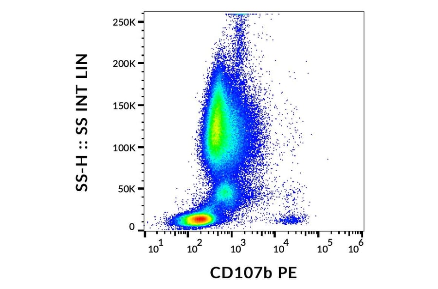 Flow Cytometry - Anti-LAMP2 Antibody [H4B4] (PE) (A86600)