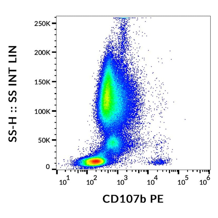 Flow Cytometry - Anti-LAMP2 Antibody [H4B4] (PE) (A86600)