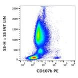 Flow Cytometry - Anti-LAMP2 Antibody [H4B4] (PE) (A86600)