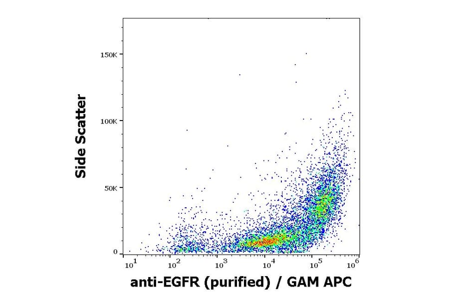Flow Cytometry - Anti-EGFR Antibody [EGFR1] (A86603)