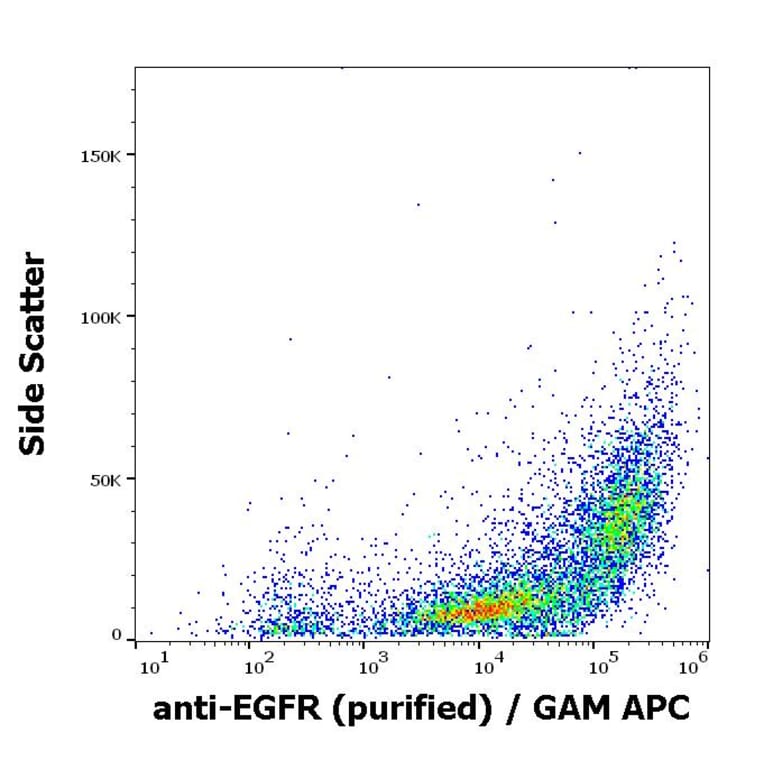 Flow Cytometry - Anti-EGFR Antibody [EGFR1] (A86603)