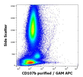 Flow Cytometry - Anti-LAMP2 Antibody [H4B4] - BSA and Azide free (A86605)