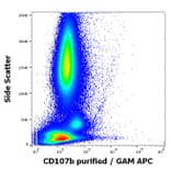 Flow Cytometry - Anti-LAMP2 Antibody [H4B4] - BSA and Azide free (A86605)
