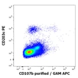 Flow Cytometry - Anti-LAMP2 Antibody [H4B4] - BSA and Azide free (A86605)