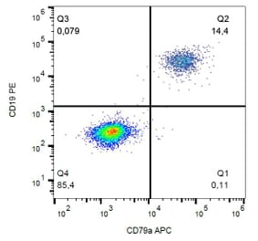 Flow Cytometry - Anti-CD79a Antibody [HM57] (APC) (A86606)