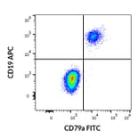 Flow Cytometry - Anti-CD79a Antibody [HM57] (FITC) (A86607)