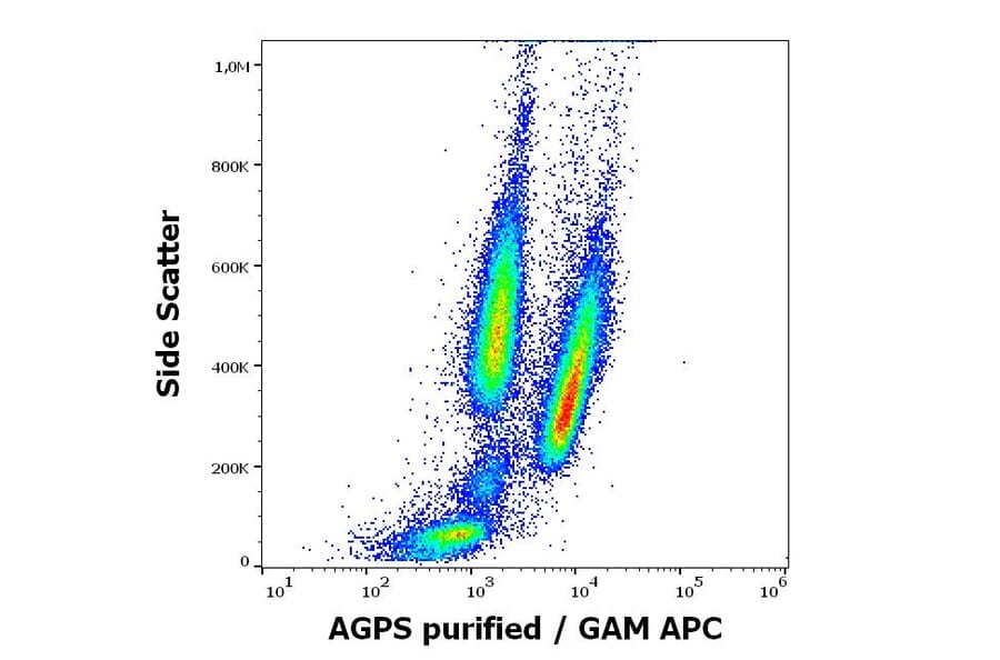 Flow Cytometry - Anti-AGPS Antibody [AGPS-03] (A86612)