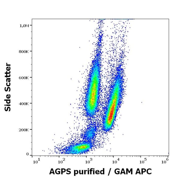 Flow Cytometry - Anti-AGPS Antibody [AGPS-03] (A86612)