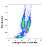 Flow Cytometry - Anti-AGPS Antibody [AGPS-03] (A86612)