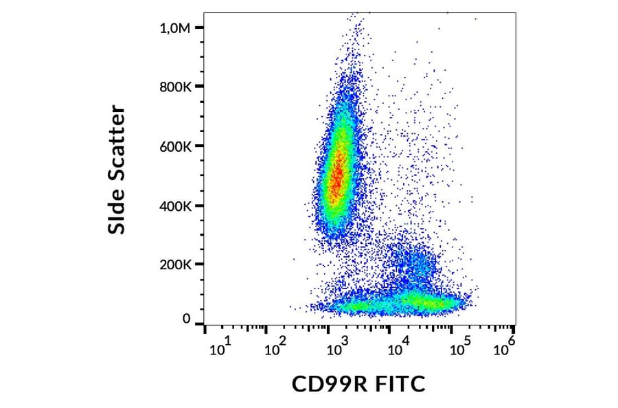 Flow Cytometry - Anti-CD99R Antibody [MEM-131] (FITC) (A86613)