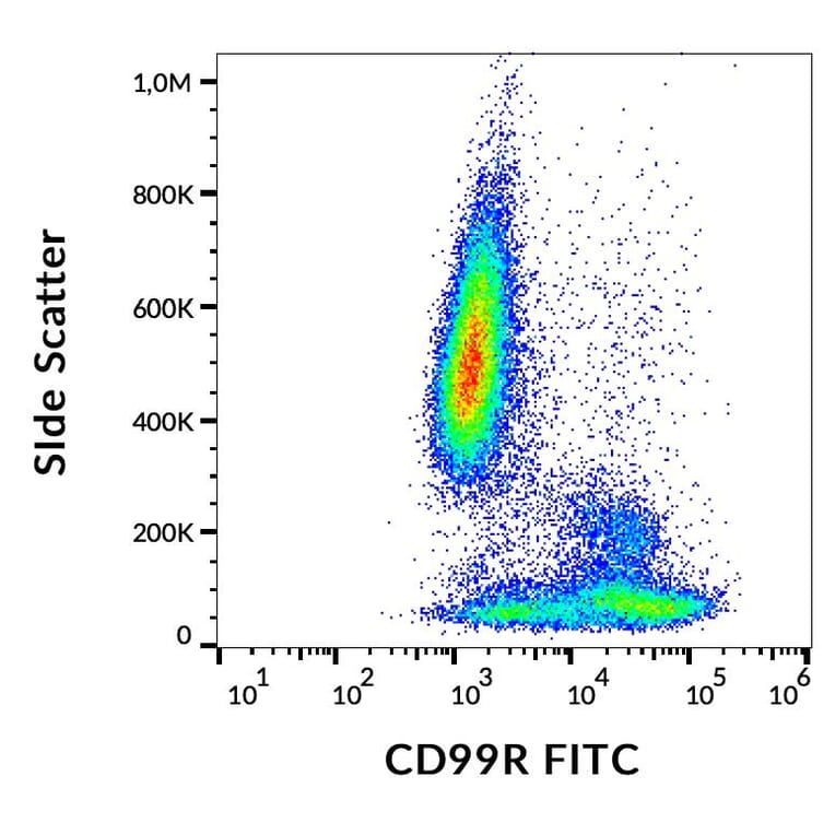 Flow Cytometry - Anti-CD99R Antibody [MEM-131] (FITC) (A86613)