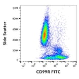 Flow Cytometry - Anti-CD99R Antibody [MEM-131] (FITC) (A86613)