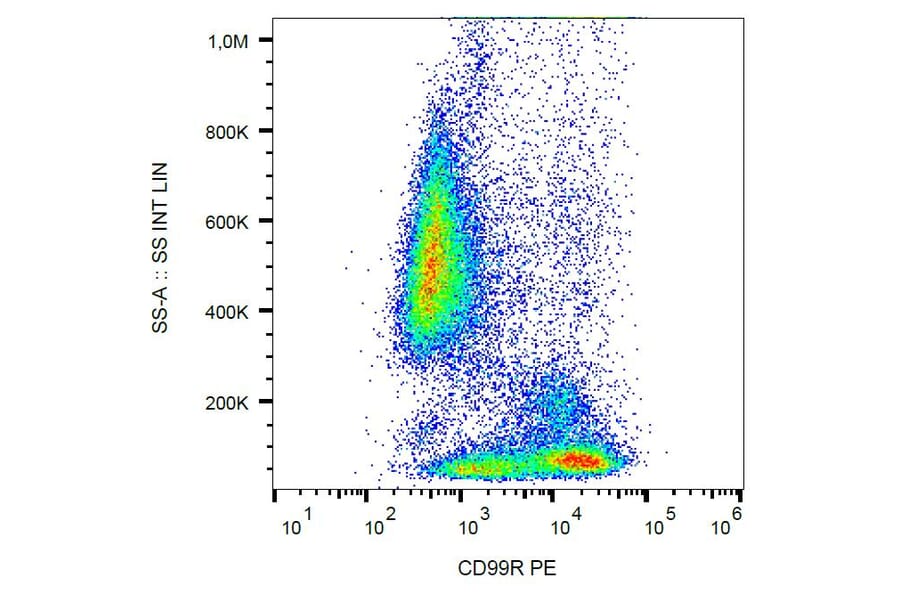 Flow Cytometry - Anti-CD99R Antibody [MEM-131] (PE) (A86614)