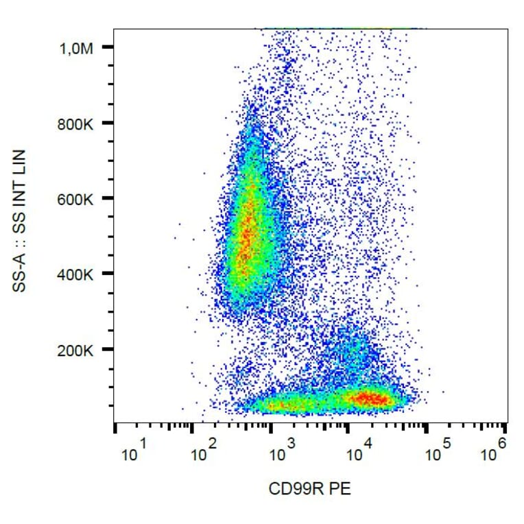 Flow Cytometry - Anti-CD99R Antibody [MEM-131] (PE) (A86614)
