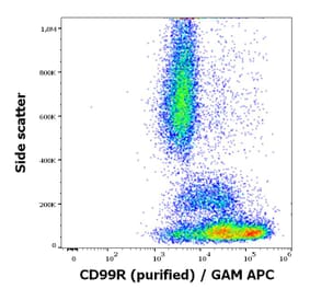 Flow Cytometry - Anti-CD99R Antibody [MEM-131] (A86615)