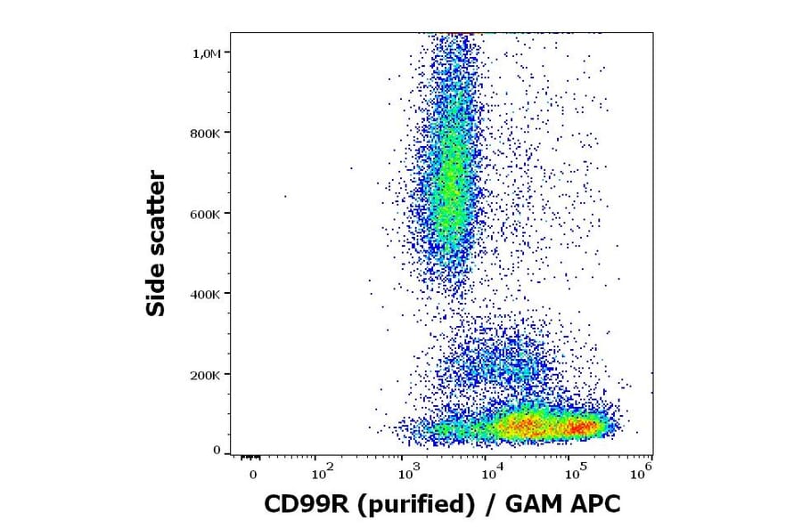 Flow Cytometry - Anti-CD99R Antibody [MEM-131] (A86615)