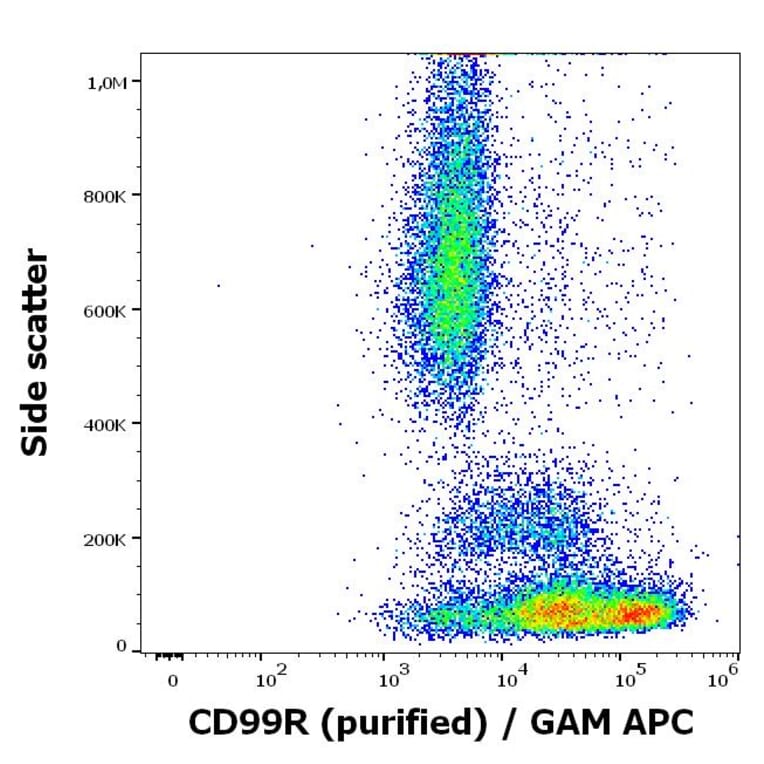 Flow Cytometry - Anti-CD99R Antibody [MEM-131] (A86615)
