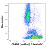 Flow Cytometry - Anti-CD99R Antibody [MEM-131] (A86615)