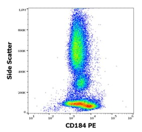 Flow Cytometry - Anti-CXCR4 Antibody [12G5] (PE) (A86616)